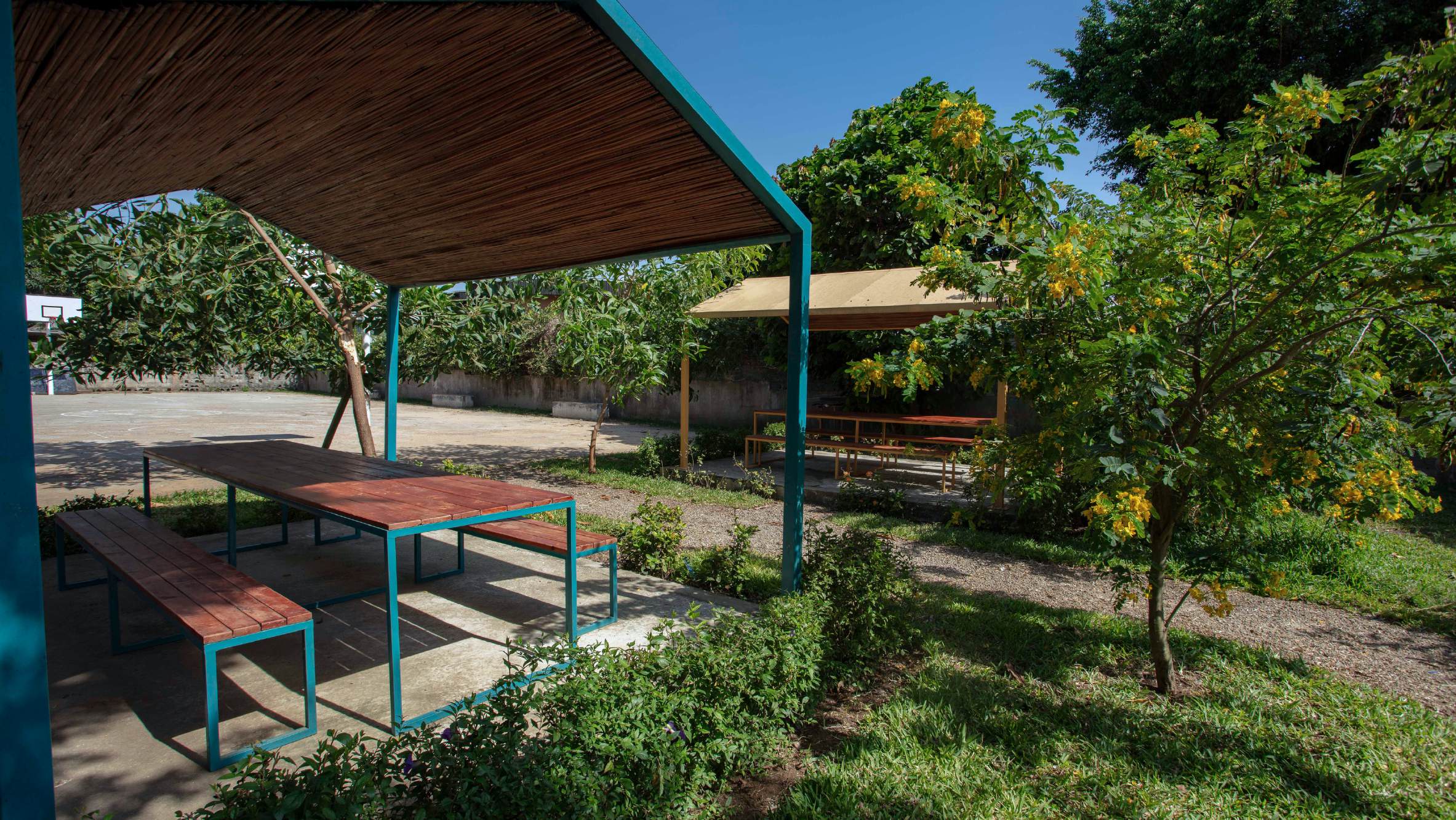Pergolas et jardins matures