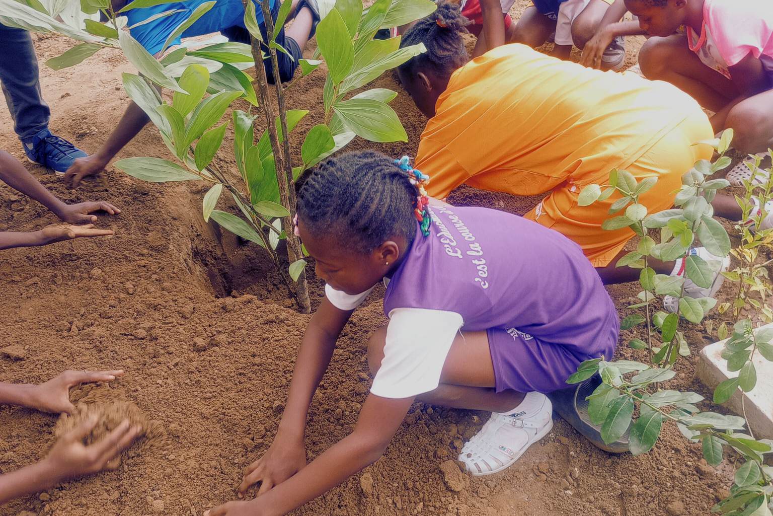 Élèves plantant des arbres